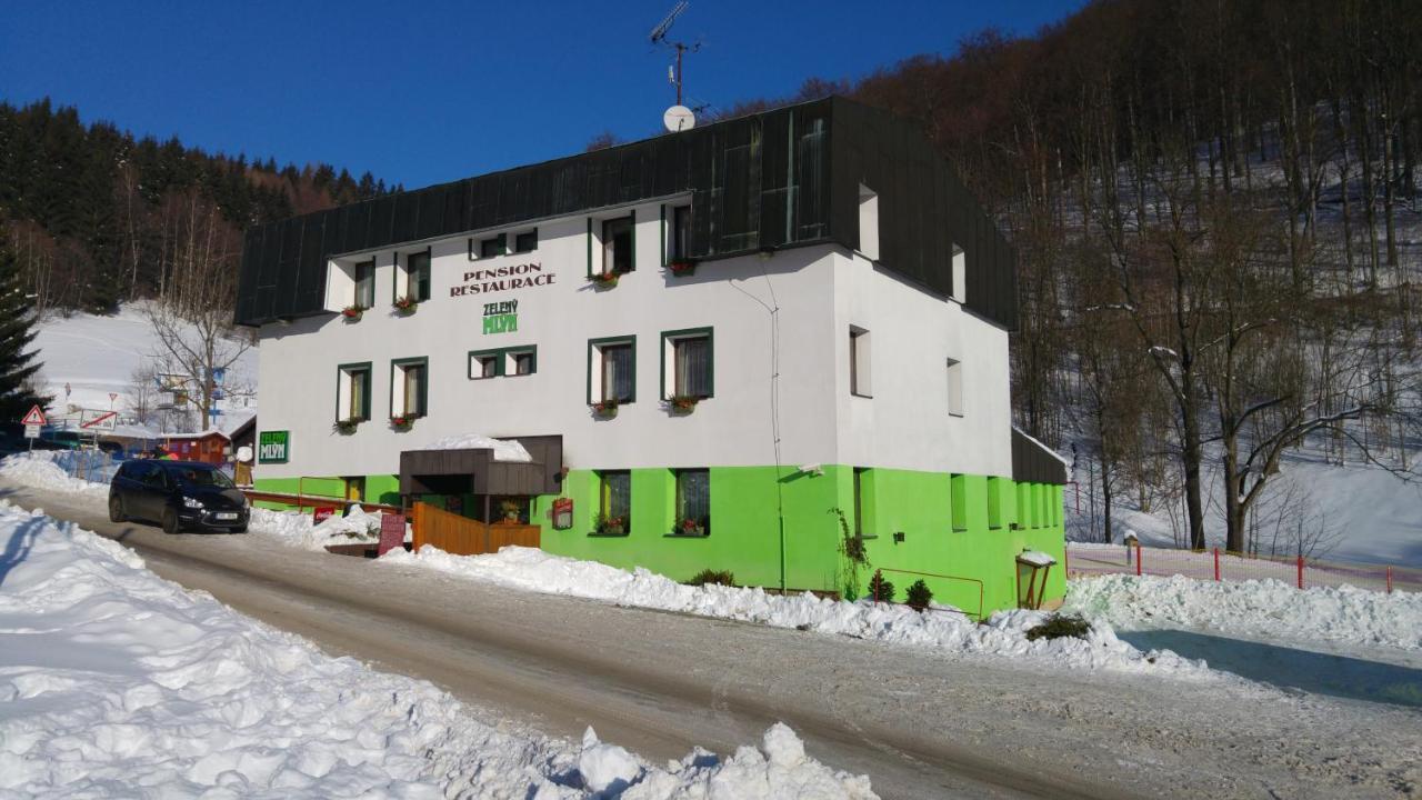 Pension & Restaurace Zeleny Mlyn Zacler Zaclér Exterior foto